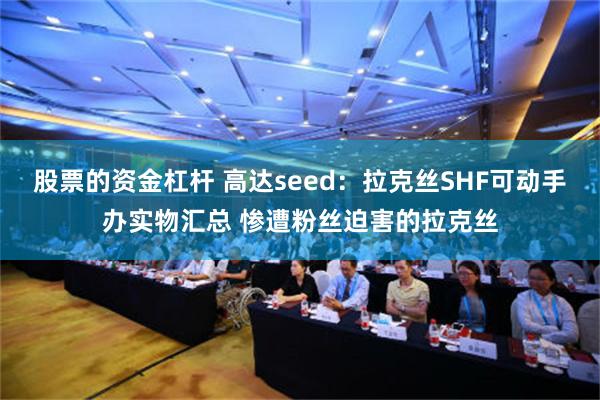 股票的资金杠杆 高达seed：拉克丝SHF可动手办实物汇总 惨遭粉丝迫害的拉克丝