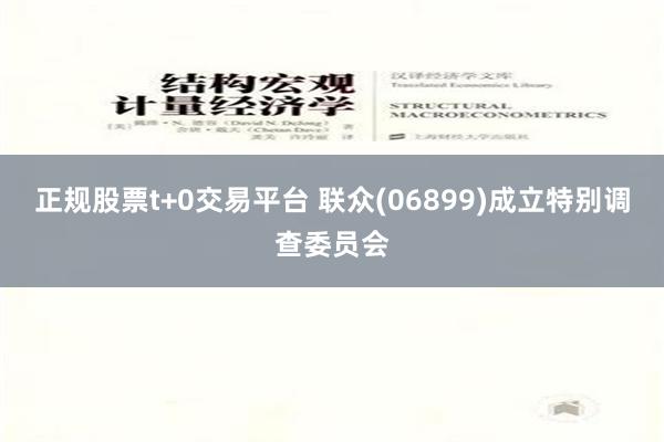 正规股票t+0交易平台 联众(06899)成立特别调查委员会