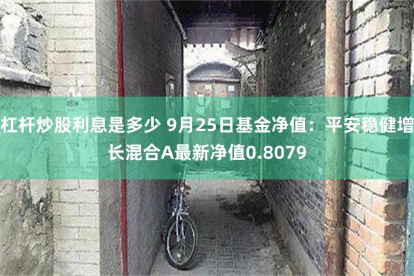 杠杆炒股利息是多少 9月25日基金净值：平安稳健增长混合A最新净值0.8079