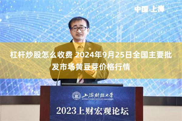 杠杆炒股怎么收费 2024年9月25日全国主要批发市场黄豆芽价格行情