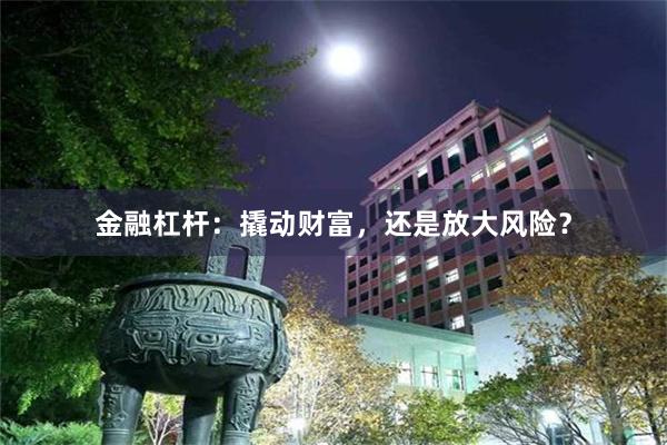 金融杠杆：撬动财富，还是放大风险？