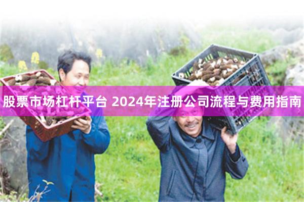 股票市场杠杆平台 2024年注册公司流程与费用指南