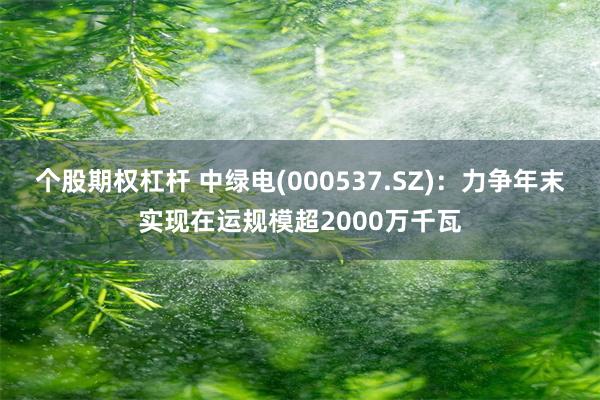 个股期权杠杆 中绿电(000537.SZ)：力争年末实现在运规模超2000万千瓦