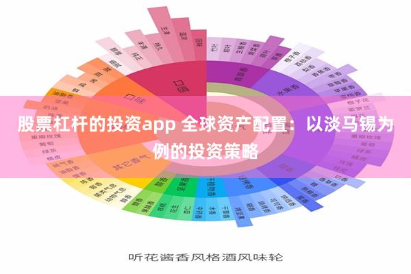 股票杠杆的投资app 全球资产配置：以淡马锡为例的投资策略