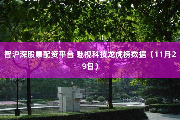 智沪深股票配资平台 魅视科技龙虎榜数据（11月29日）