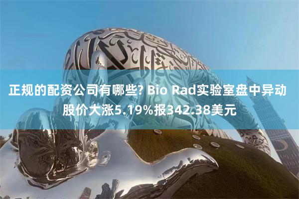 正规的配资公司有哪些? Bio Rad实验室盘中异动 股价大涨5.19%报342.38美元