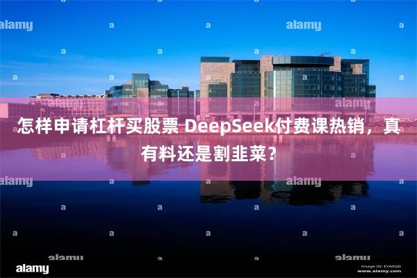 怎样申请杠杆买股票 DeepSeek付费课热销，真有料还是割韭菜？